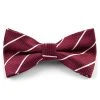 Tailor Toki Nœud Papillon à Rayure Bordeaux Et Blanc 1 Tailor Toki Nœud Papillon à Rayure Bordeaux Et Blanc -Trendhim en ligne 2 121