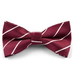 Tailor Toki Nœud Papillon à Rayure Bordeaux Et Blanc