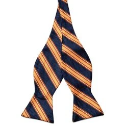 Tailor Toki Noeud Papillon Soie Classique A Rayures