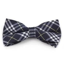 Tailor Toki Noeud Papillon Bleu / Or